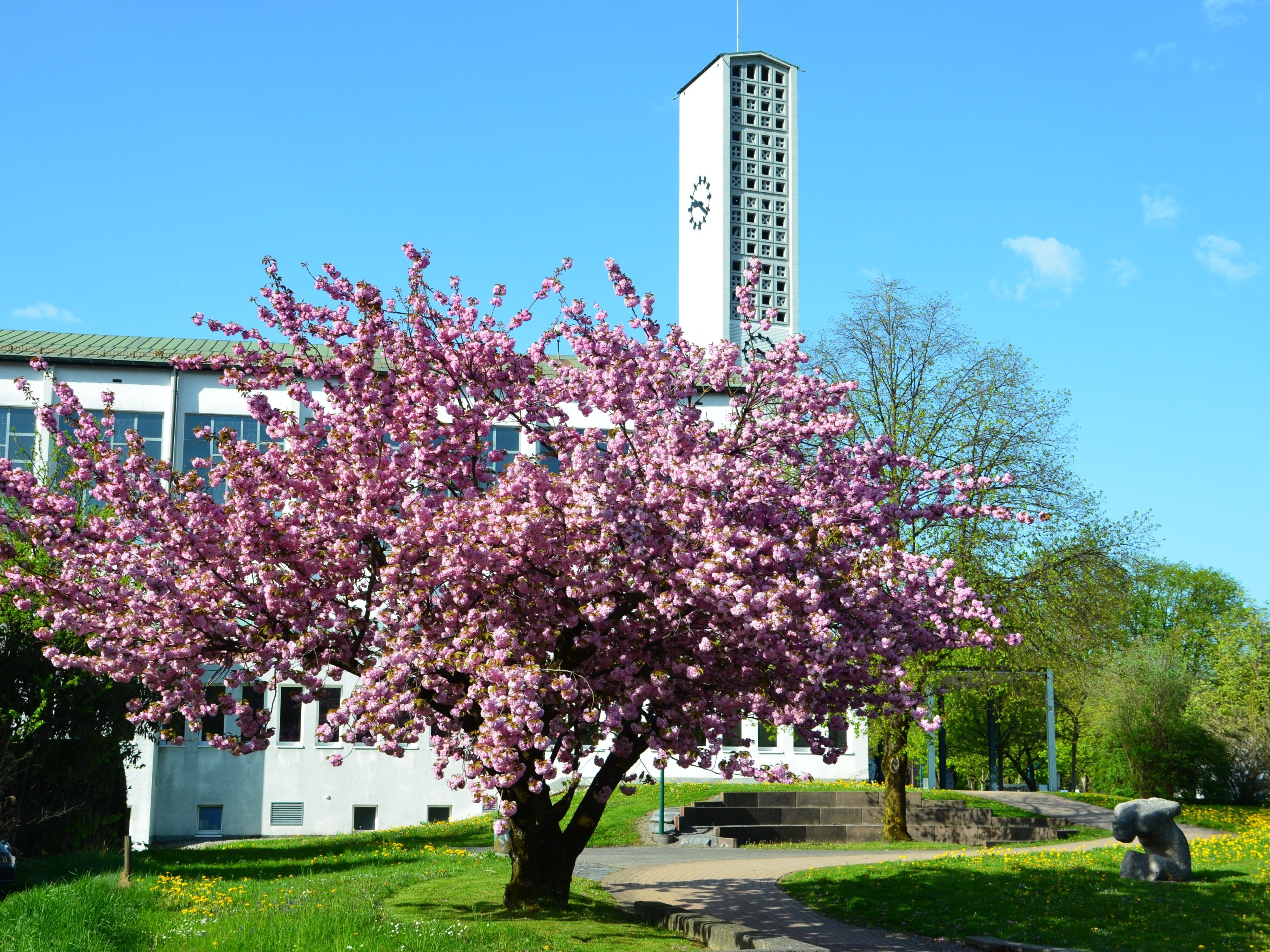 In Altach wird das Jubiläum 20 Jahre Pfarrzentrum gefeiert