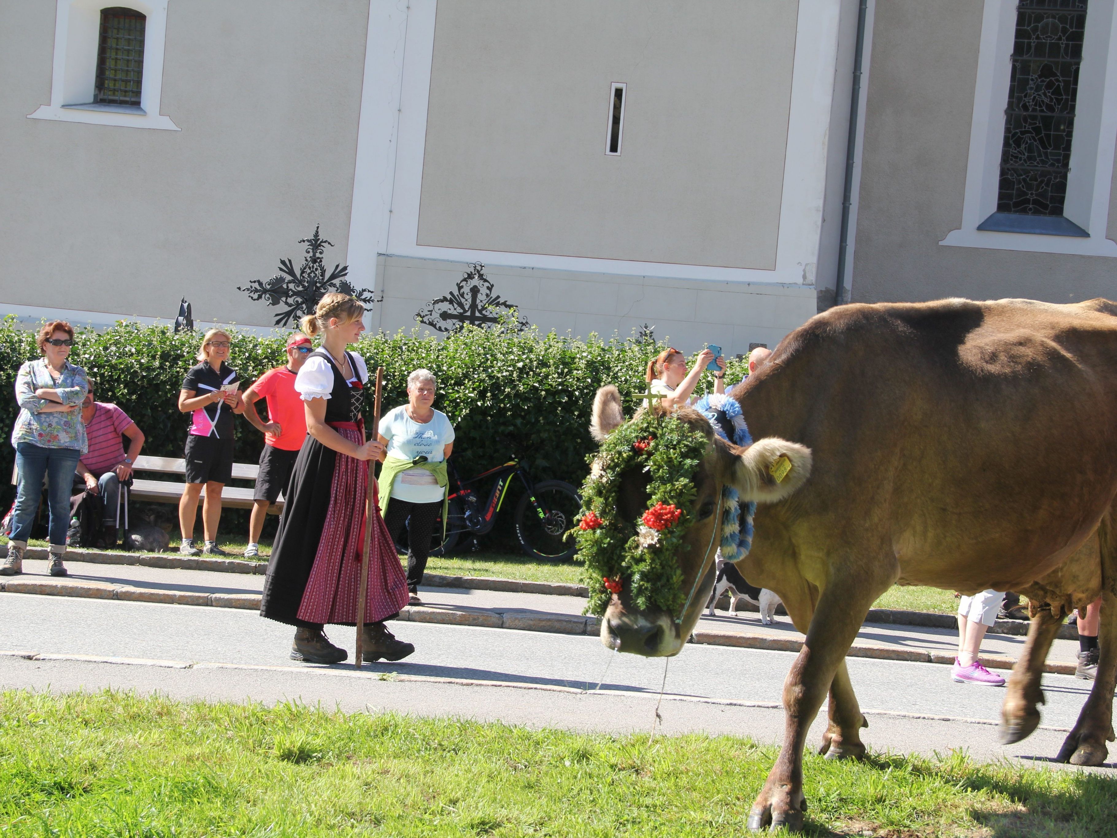 Zahlreiche Besucher bewunderten die geschmückten Kühe beim Alpabtrieb.