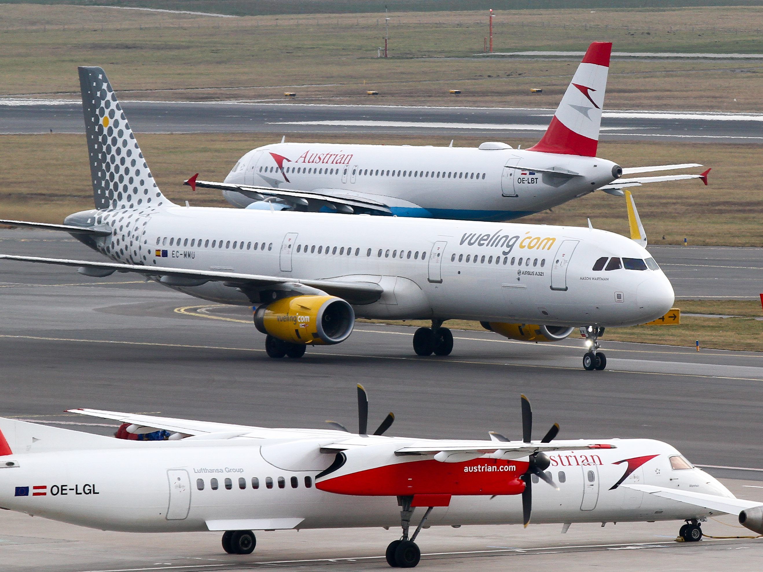 Vier Flüge waren am Flughafen Wien vom Fledermausschwarm betroffen.