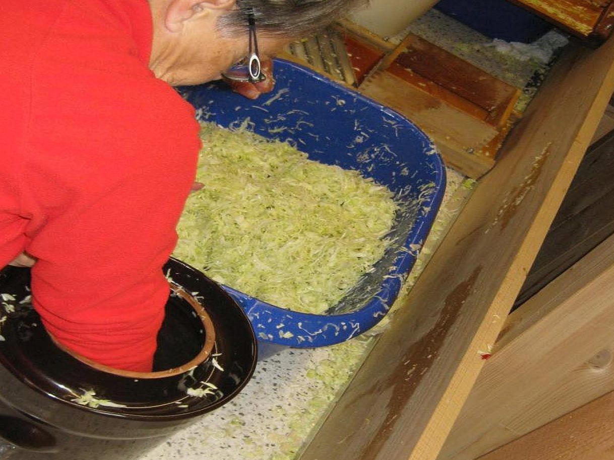 Das Kraut muss fest in den Gärtopf eingestampft werden