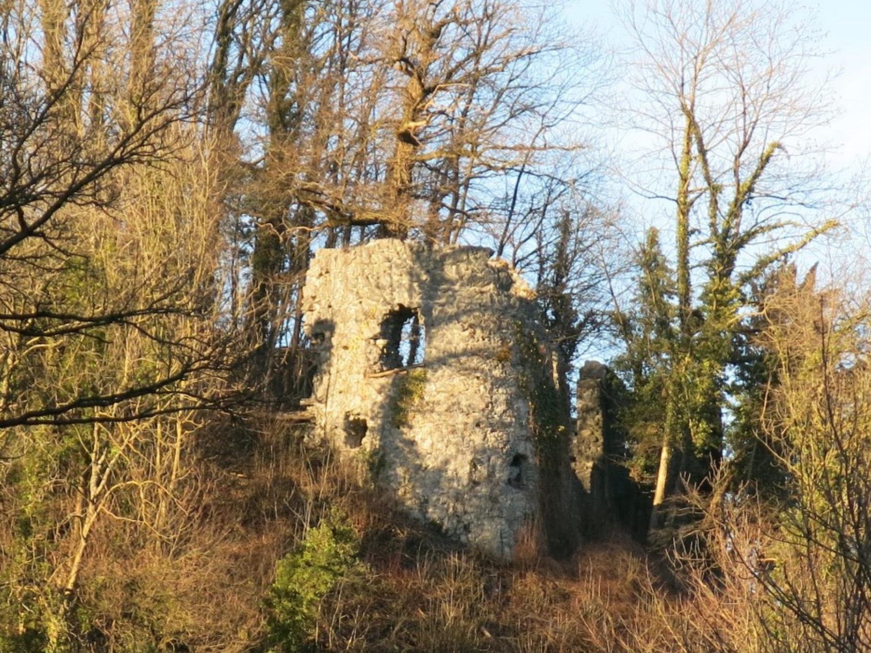 An der Neuburg wird seit dieser Woche wieder gearbeitet