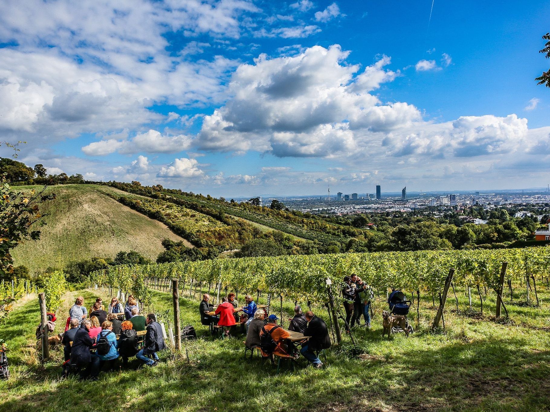 Die Stadt Wien lädt zum zwölften Mal in die Wiener Weinberge.