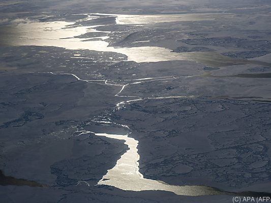 Das arktische Meereis geht immer weiter zurück