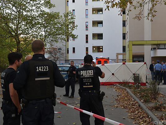 Der Bub wurde von einem 40 Zentimeter langen Birkenstamm erschlagen