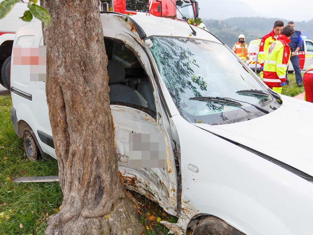 Der Beifahrer wurde unbestimmten Grades verletzt. Der Beifahrer wurde unbestimmten Grades verletzt.