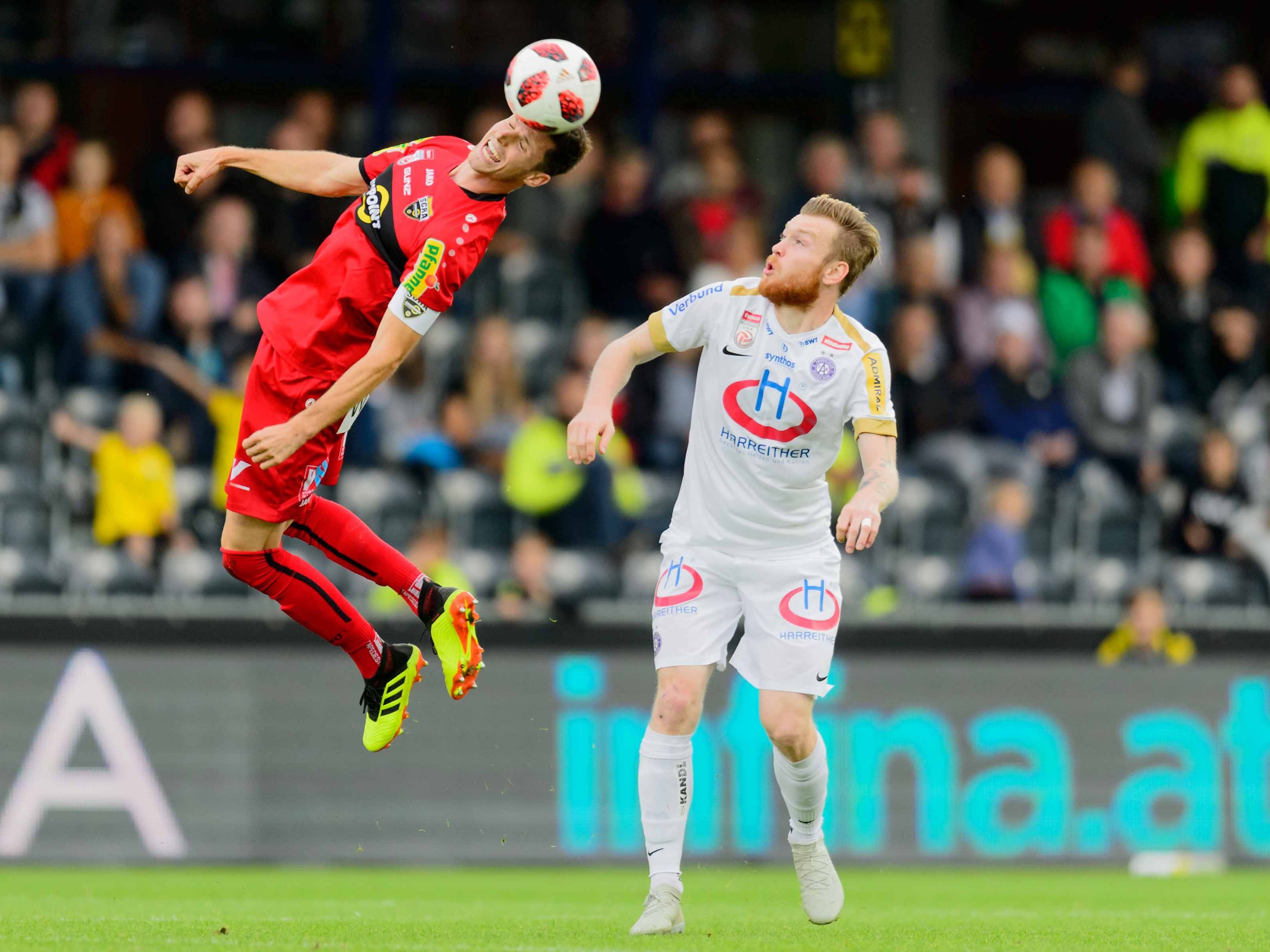 Altach schlägt Austria WIen mit 2:0.