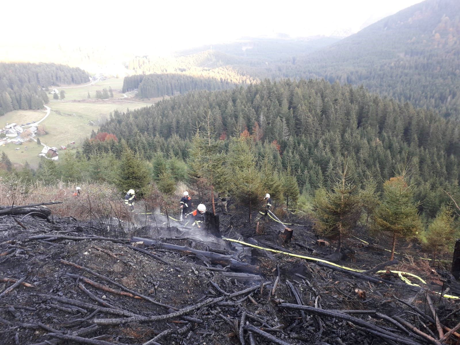 Ein Hektar Wald wurde bei dem Brand zerstört.