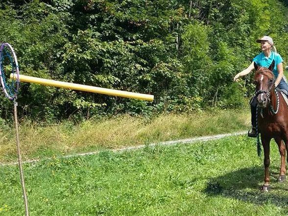 Den Reitern wird bei den "Mountain Games" einiges abverlang Den Reitern wird bei den "Mountain Games" einiges abverlang