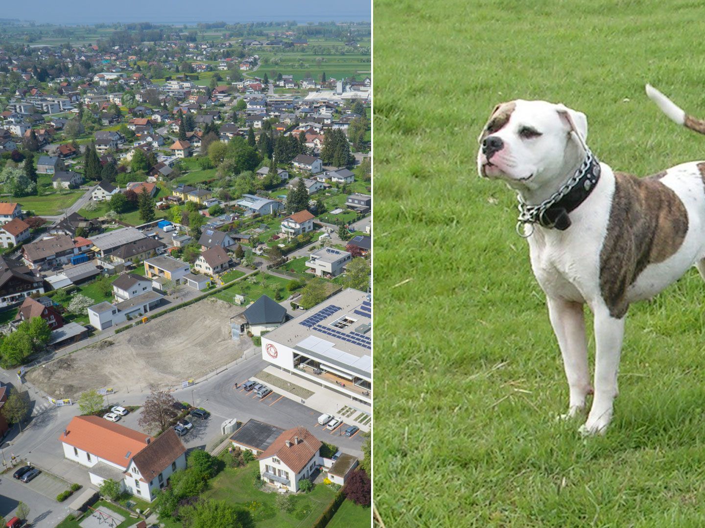 Das Ehepaar wurde bei dem Angriff schwer verletzt./Symbolbild