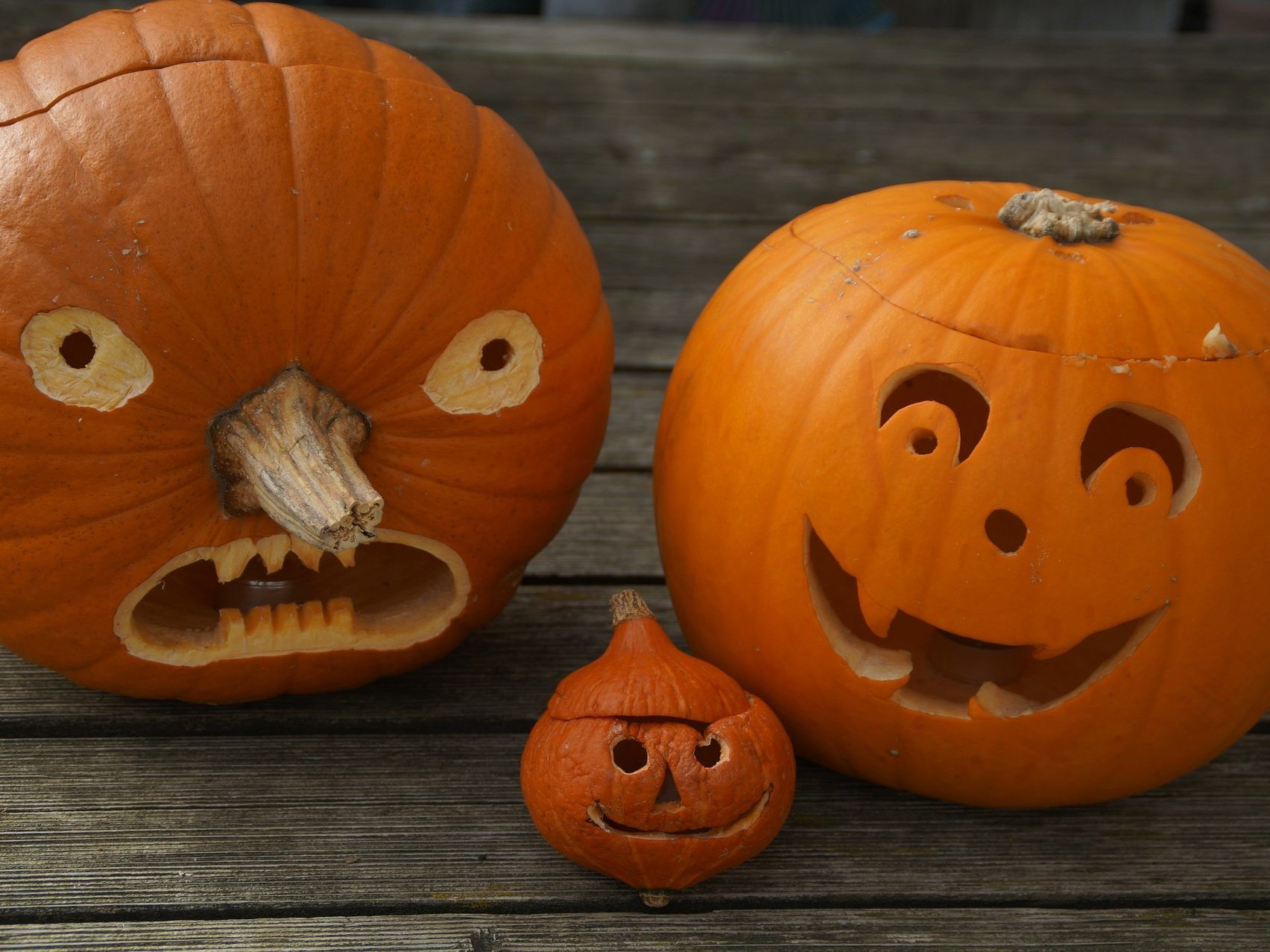 Das SCN lädt zum Kürbis-Schnitzen ein.