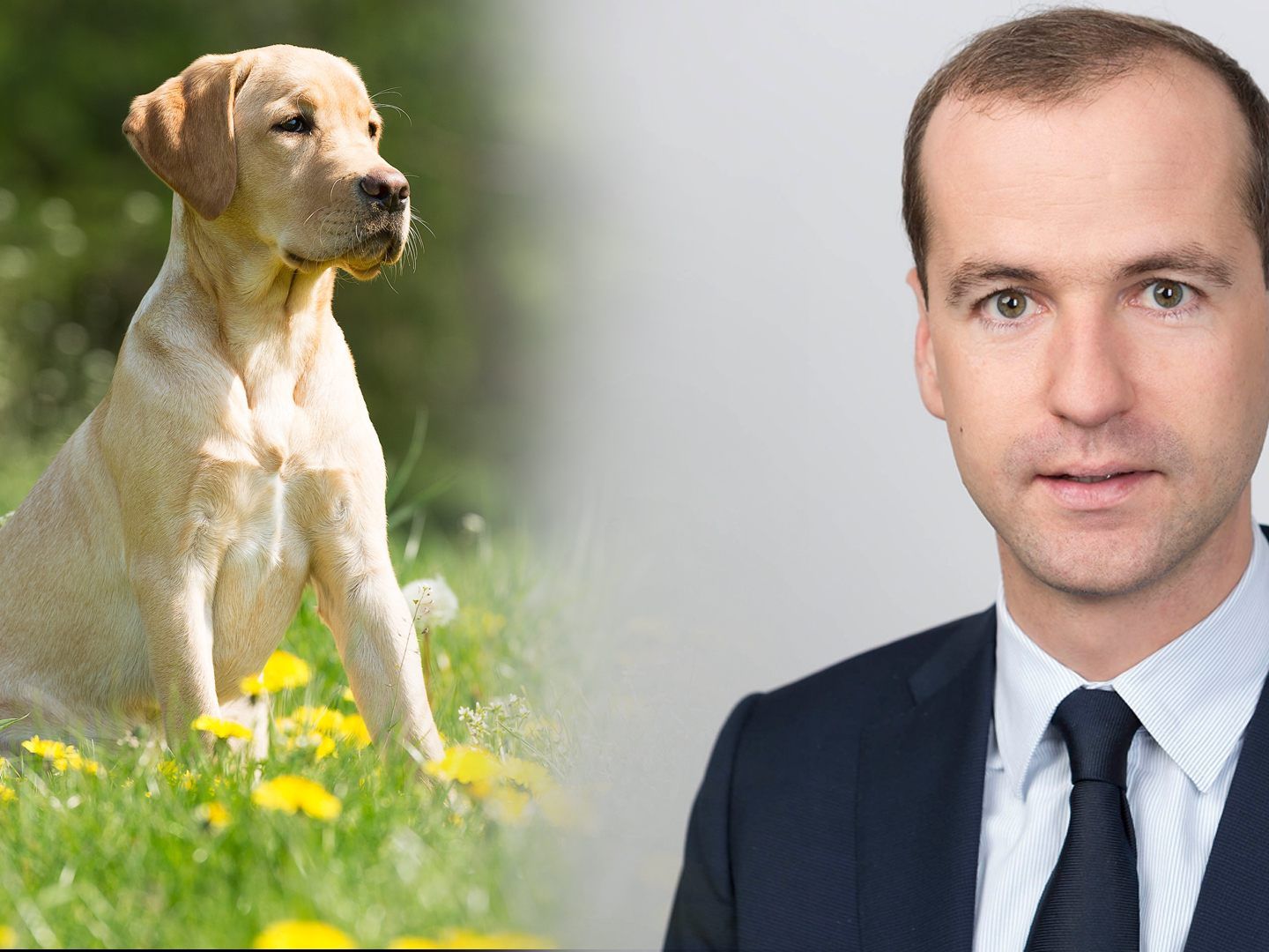 VP-Sicherheitssprecher Thomas Winsauer spricht sich gegen einen verpflichtenden Hundeführerschein aus.