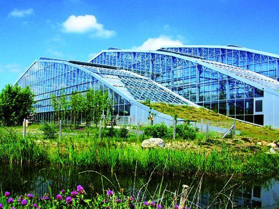 120 exotische Nutzpflanzen sind im Tropengarten zu finden 120 exotische Nutzpflanzen sind im Tropengarten zu finden