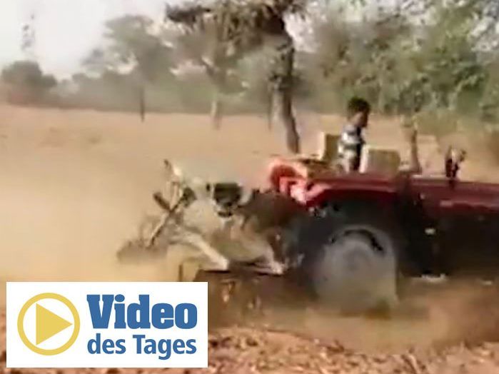 Der tollkühne Bauer auf seinem rasenden Traktor.