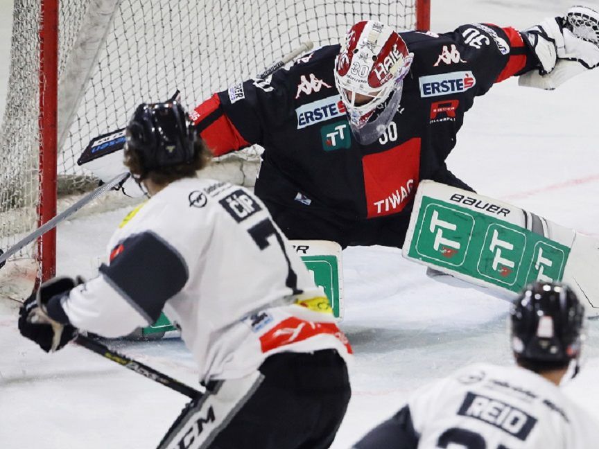 Bulldogs treffen im Messestadion auf die "Haie" aus Innsbruck Bulldogs treffen im Messestadion auf die "Haie" aus Innsbruck