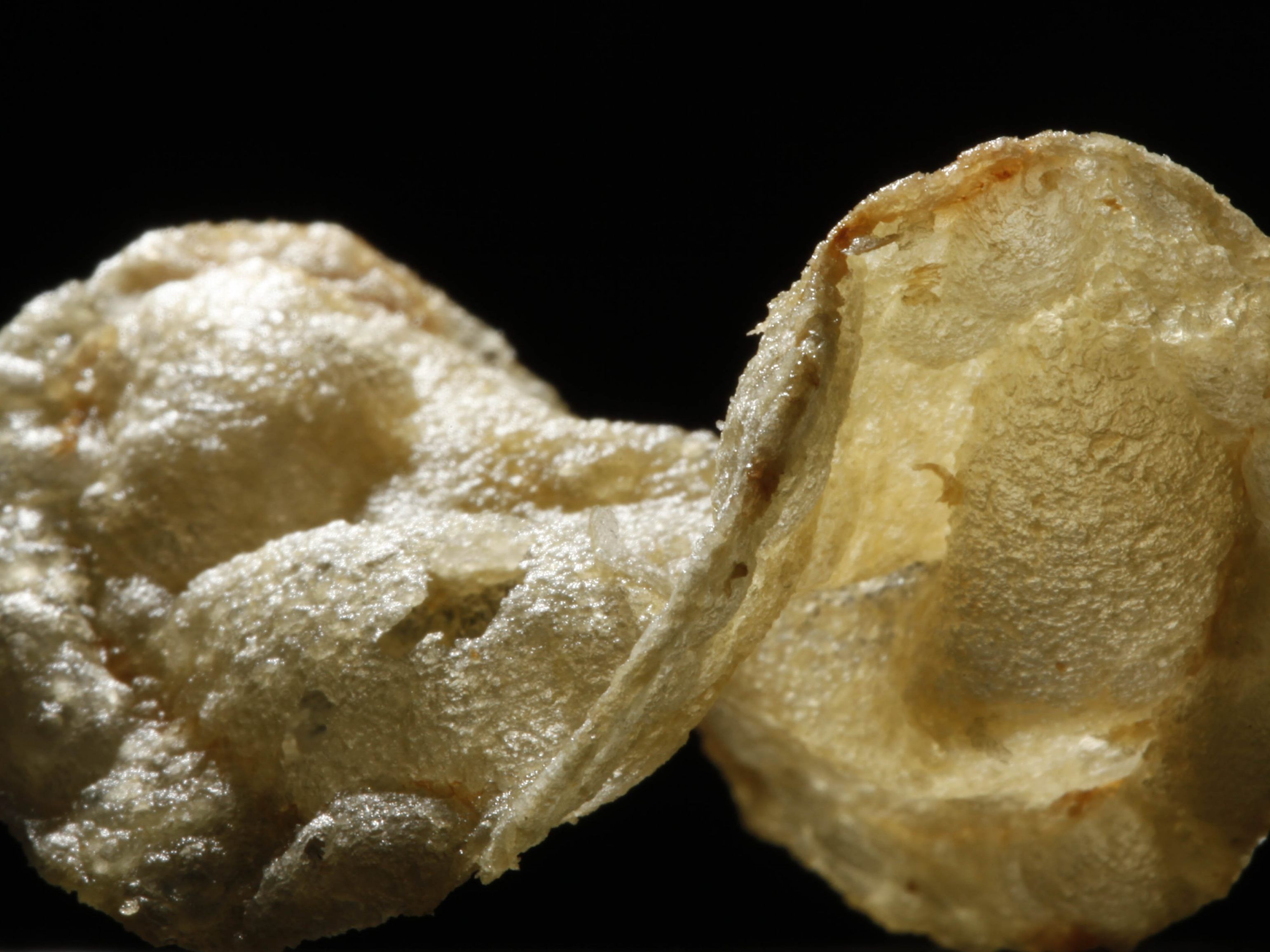 Die schlechte Kartoffelernte wird sich deutlich im Preis für Chips niederschlagen. Die schlechte Kartoffelernte wird sich deutlich im Preis für Chips niederschlagen.