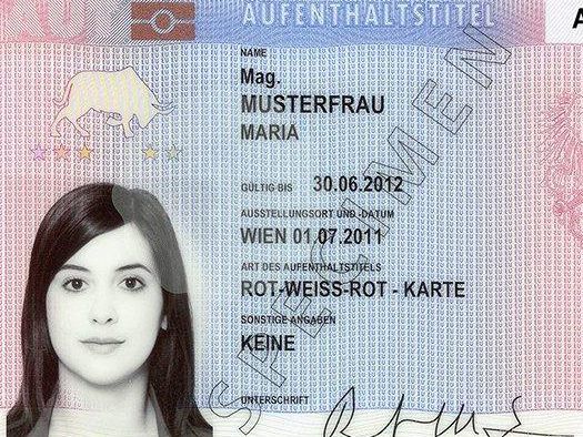 Das Muster einer Rot-Weiß-Rot-Card.