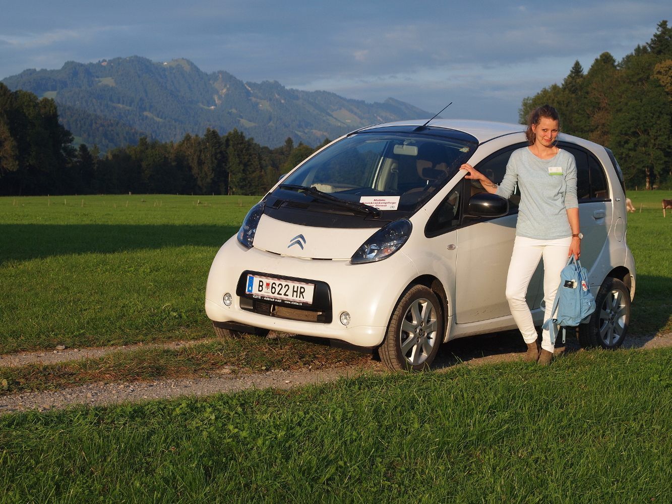 Zu den Unterstützungsmaßnahmen für die am Praxistest beteiligten Haushalten zählt auch ein Test-Elektroauto.  