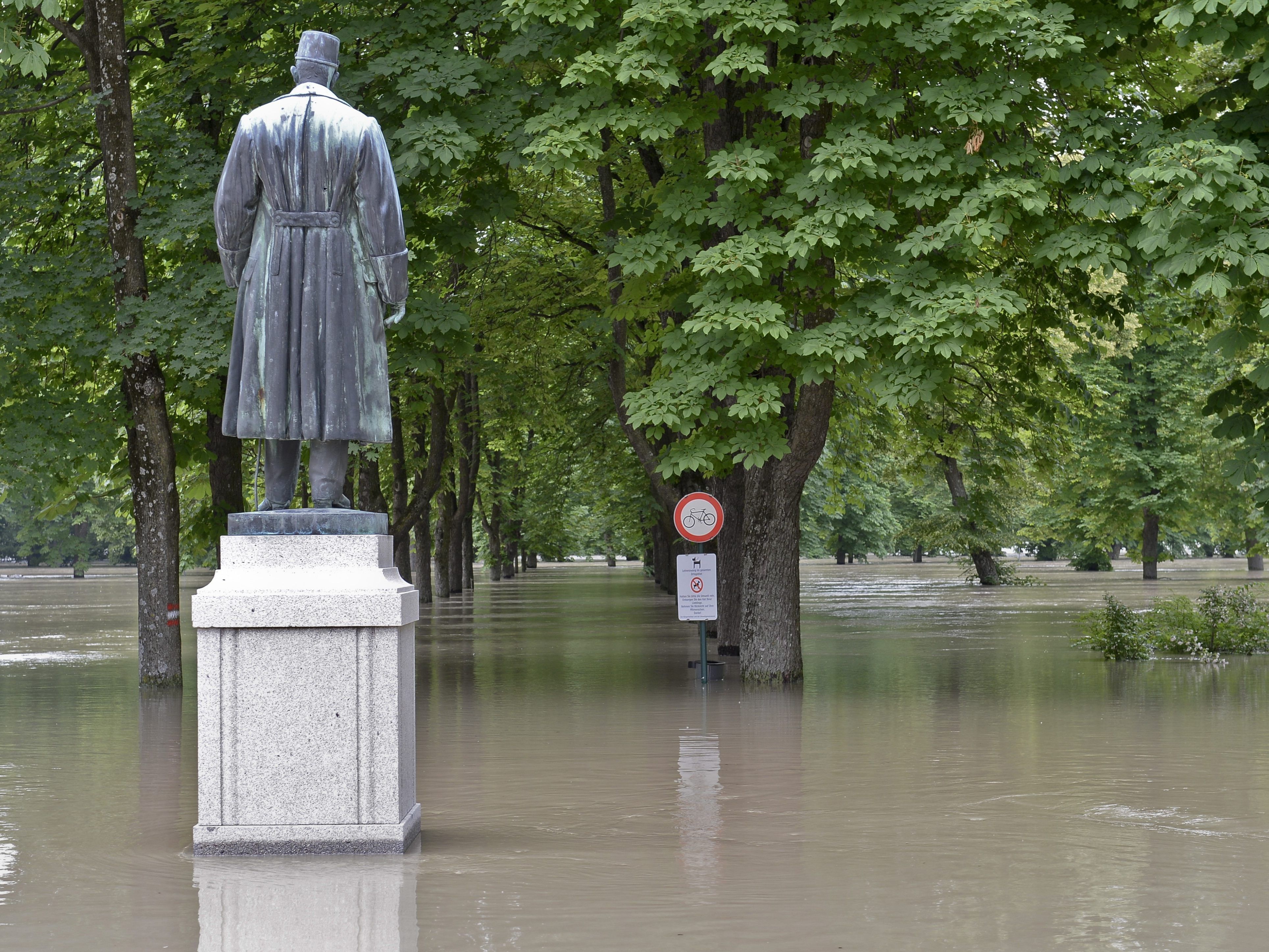 Von Schärding bis Hainburg tritt die Donau über die Ufer.