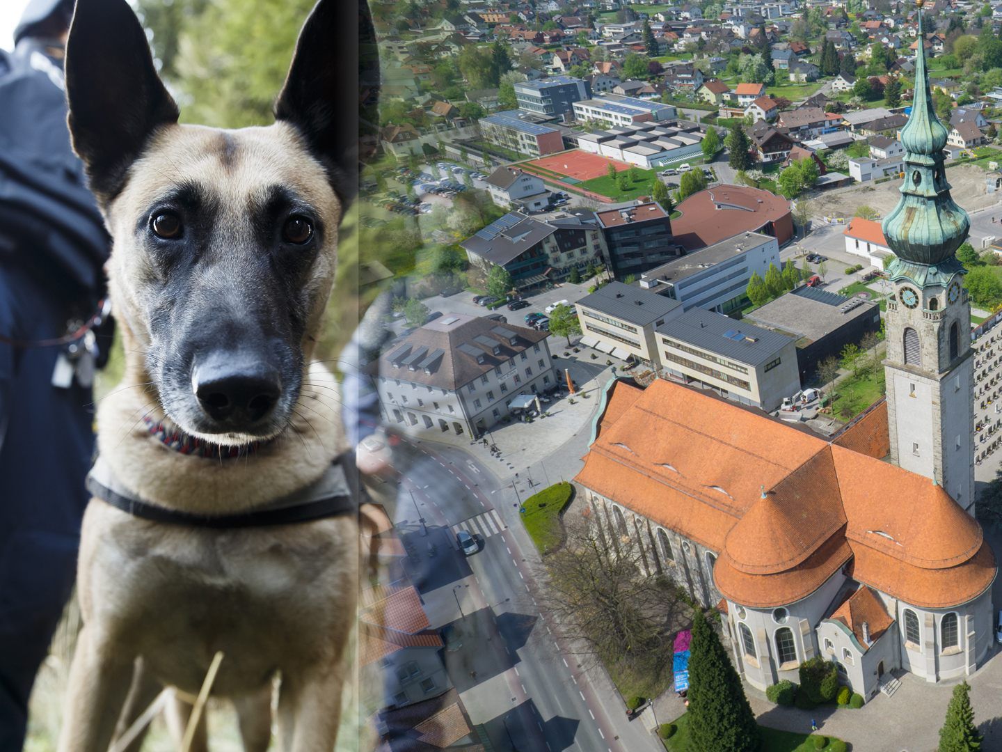 Die Polizei suchte das Waldstück in Höchst mit einem Diensthund ab. Die Polizei suchte das Waldstück in Höchst mit einem Diensthund ab.