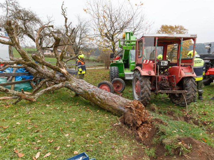Mit Traktor durch den Gartenzaun gefahren Mit Traktor durch den Gartenzaun gefahren