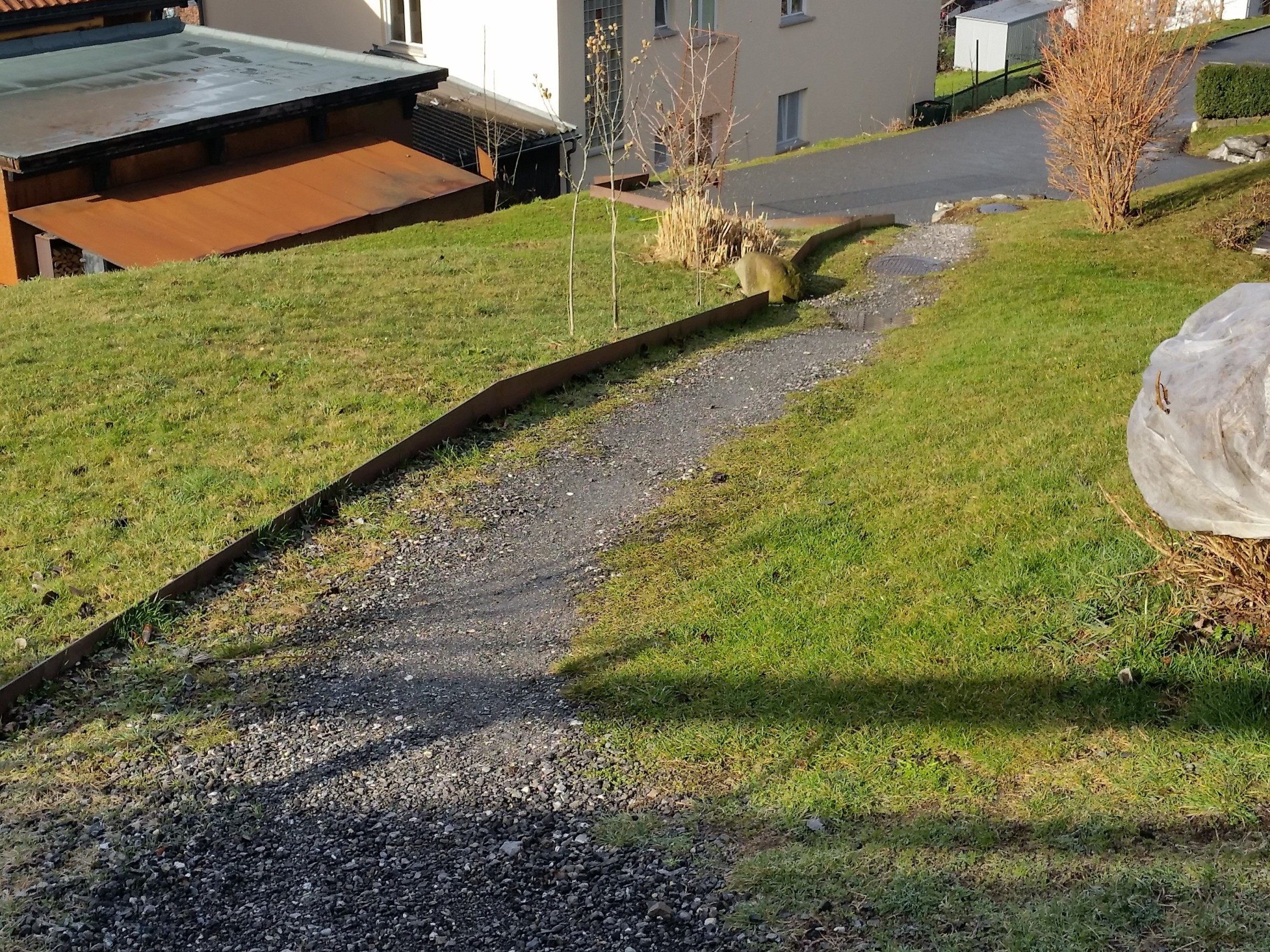 Gehweg in Dafins