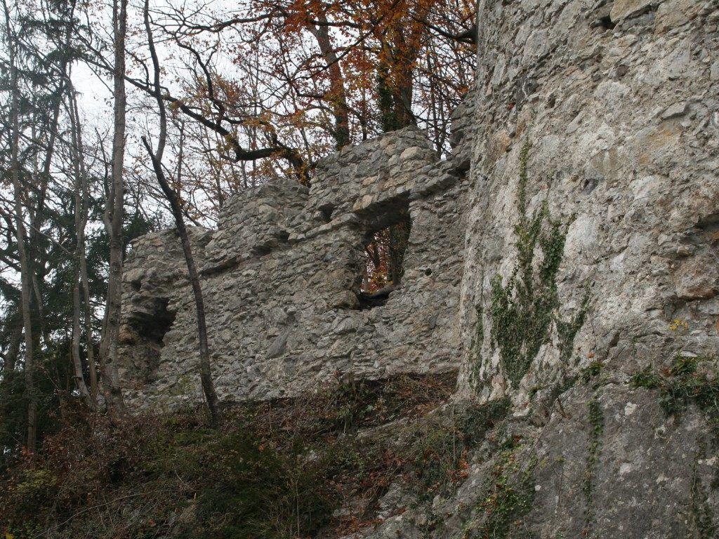 Die Ringmauer an der Neuburg konnte zu einem großen Teil schon saniert werden Die Ringmauer an der Neuburg konnte zu einem großen Teil schon saniert werden