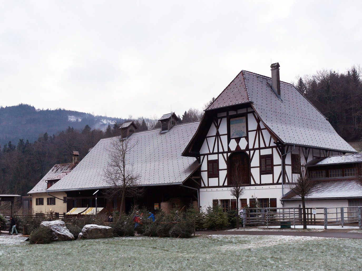 Der Christbaumverkauf startet am Sunnahof am 11. Dezember.