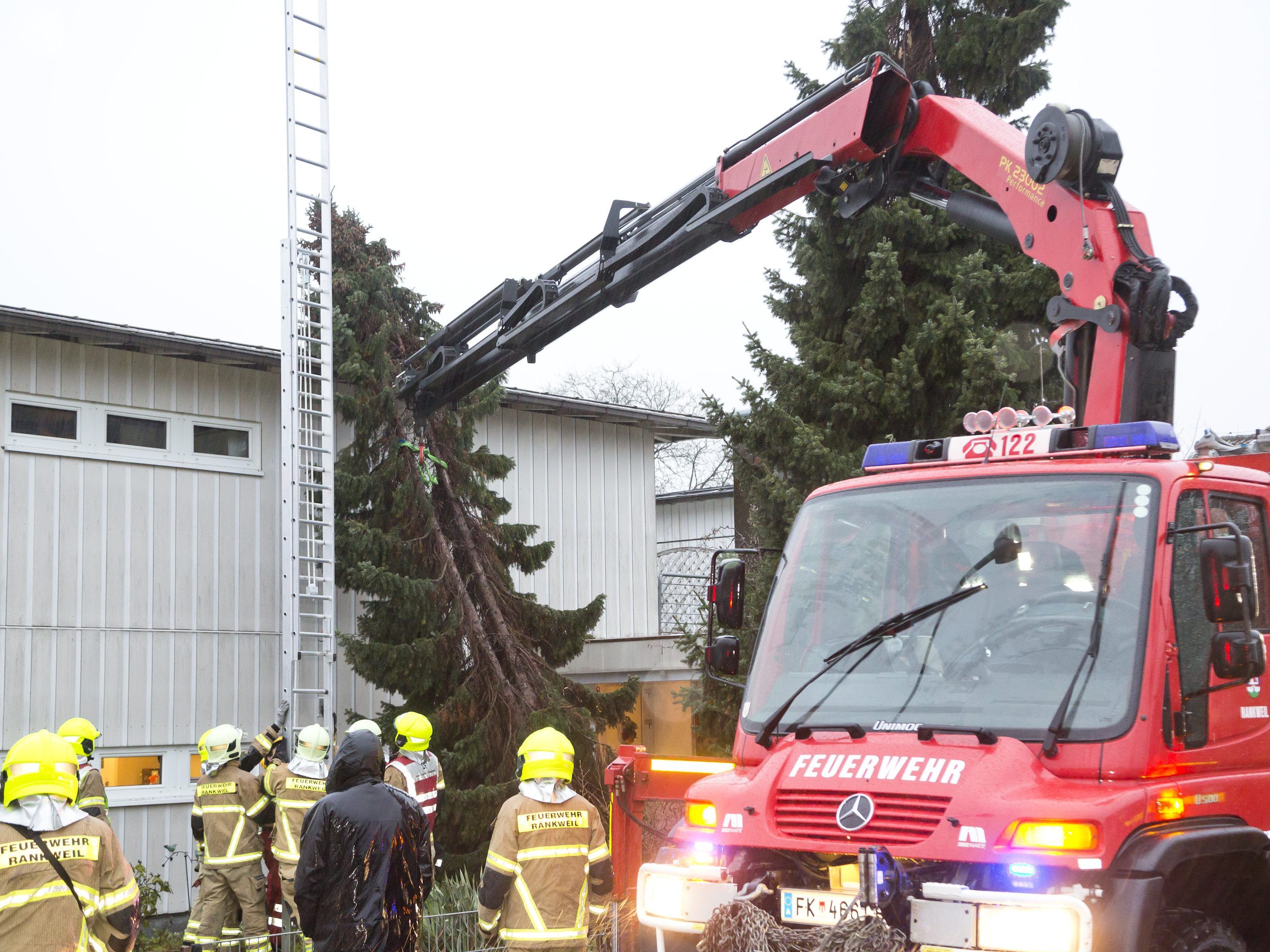 Baum musste mit Kran entfernt werden