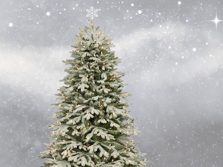 Ein Weihnachtsbaum