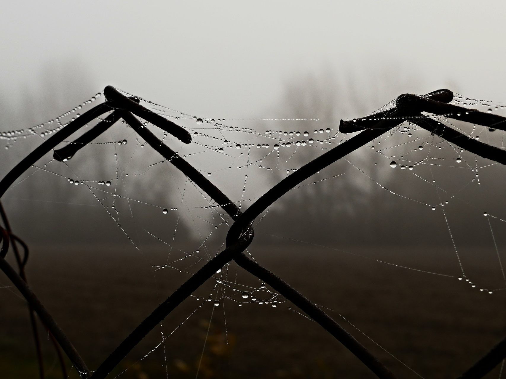 Das Augenliche des Mädchens konnte nicht mehr gerettet werden.