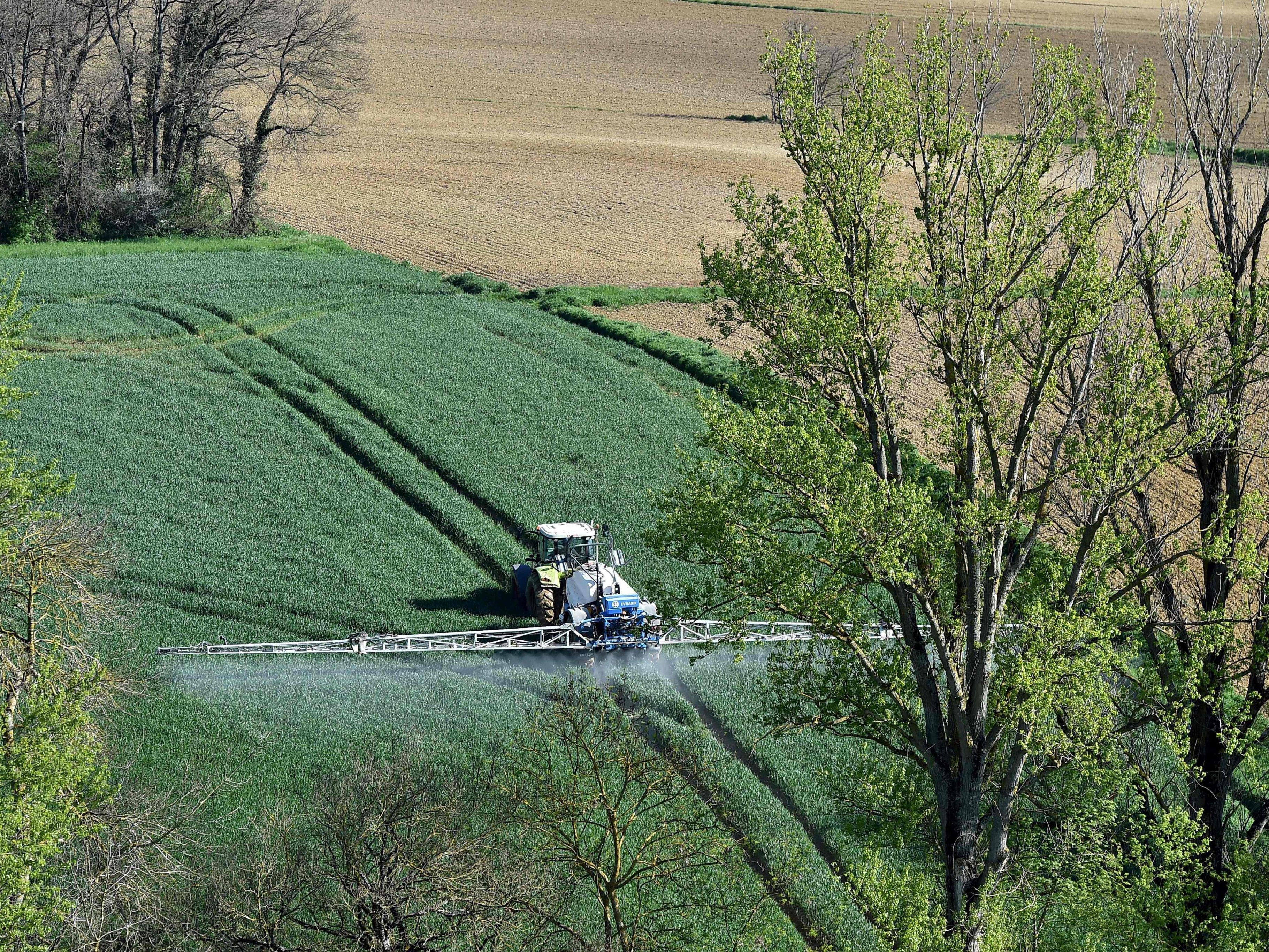 Soll das Pestizid Glyphosat in Österreich gänzlich verboten werden?