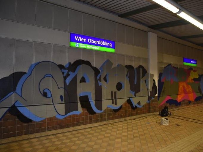 Einer der Sprayer konnte im Bahnhofsbereich Oberdöbling angehalten werden, seine zwei Komplizen konnten fliehen.