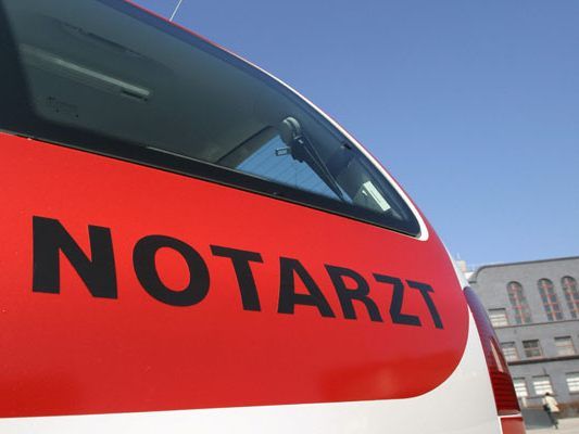 Der 27-Jährige wurde in das Landesklinikum Wiener Neustadt gebracht.