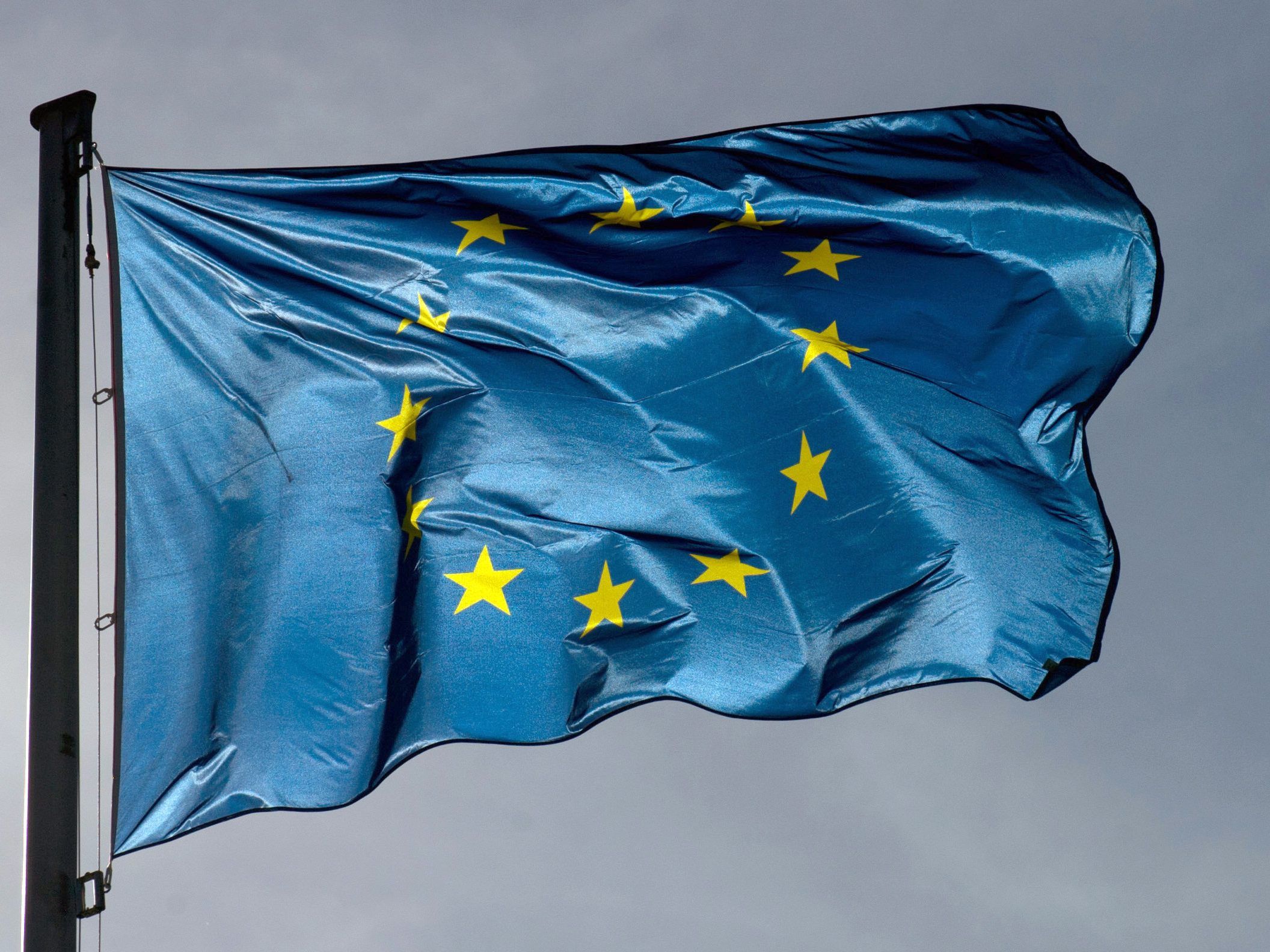 Die EU-Wahl findet von 23. bis 26. Mai statt. Die EU-Wahl findet von 23. bis 26. Mai statt.