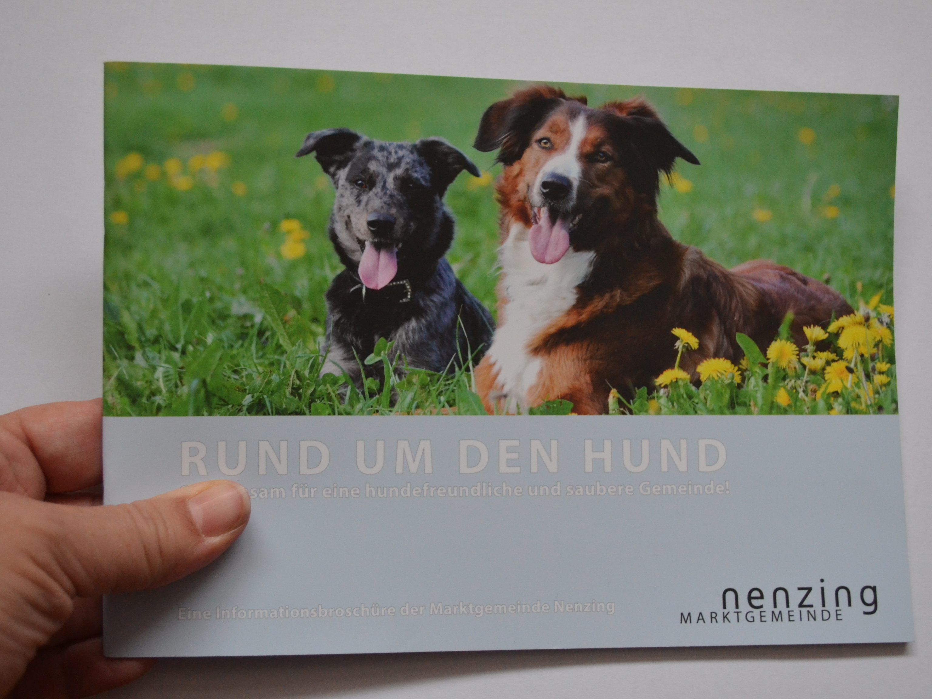 Im neuen Folder findet sich alles Wissenswerte über die Hundehaltung in Nenzing.