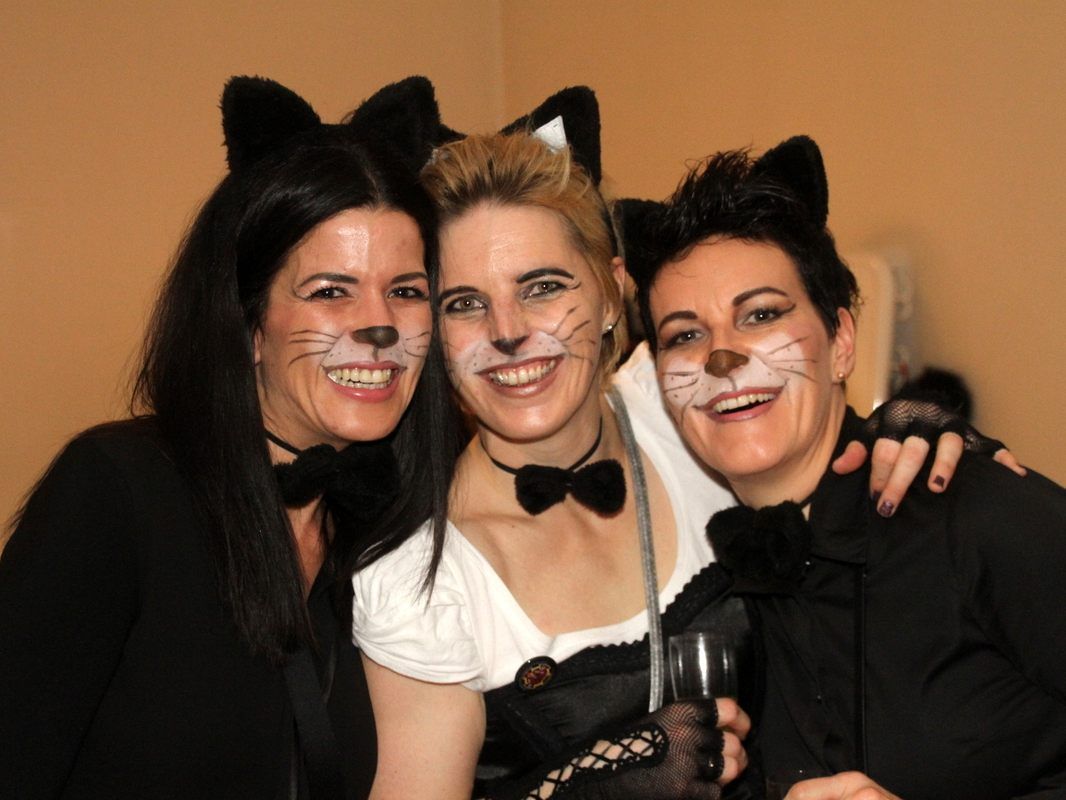 Katzentrio beim Parzellenball Katzentrio beim Parzellenball