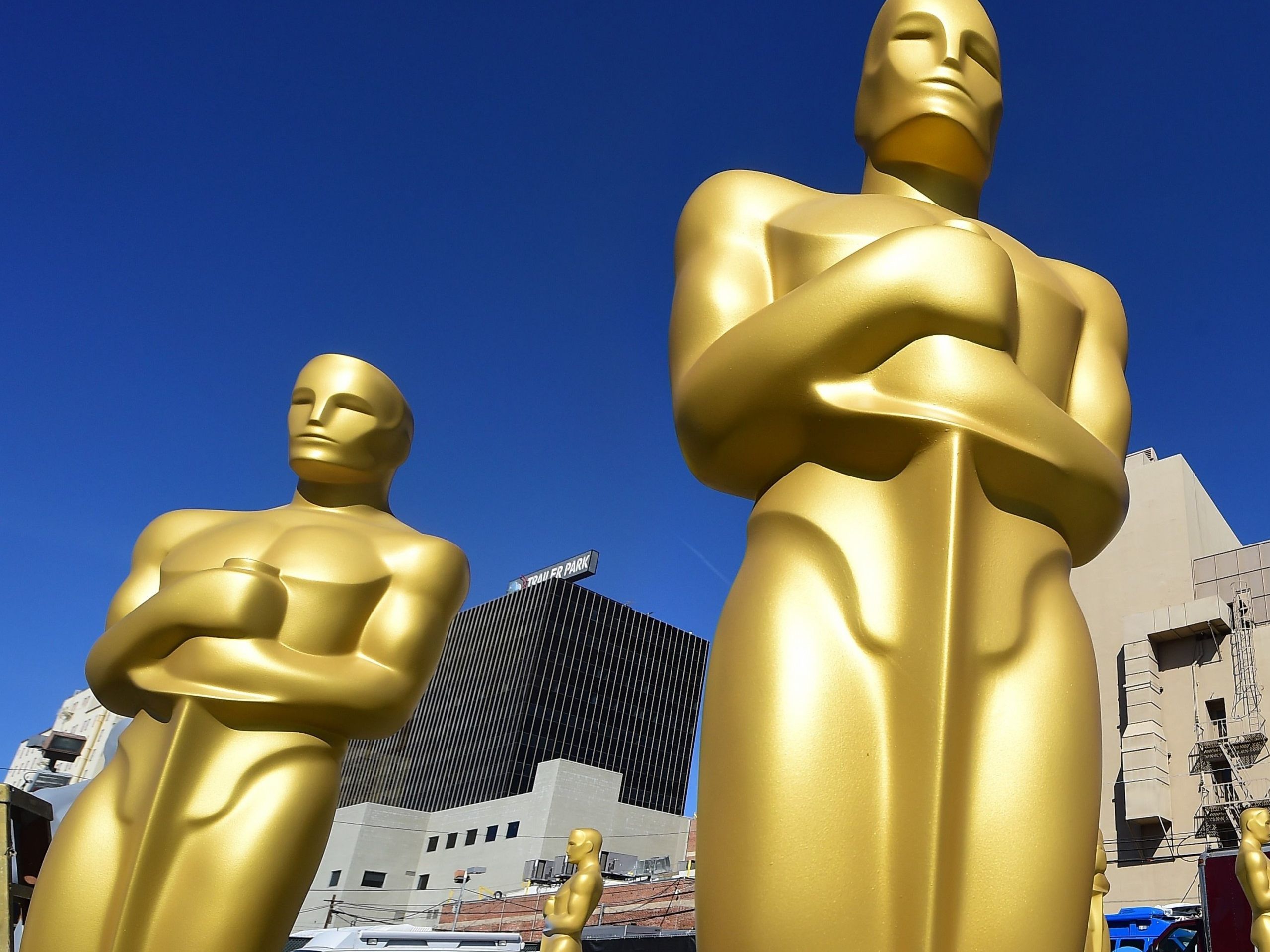 Am 22. Jänner wurden die Oscer-Nominierungen 2019 bekannt gegeben.