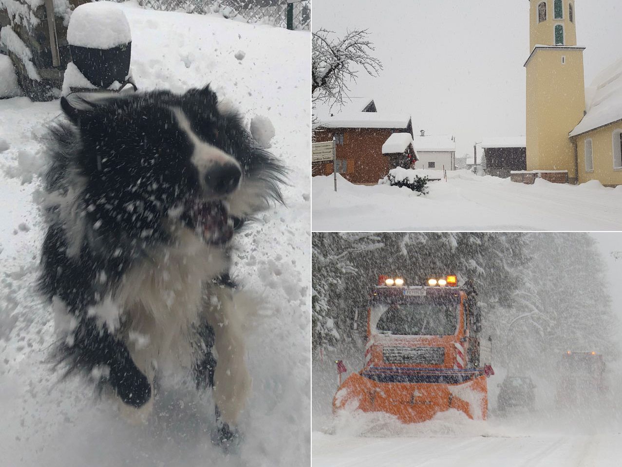 Die schöne Seite des Schnees - VOL.AT-User haben ihre schönsten Schneebilder von heute geschickt. Die schöne Seite des Schnees - VOL.AT-User haben ihre schönsten Schneebilder von heute geschickt.
