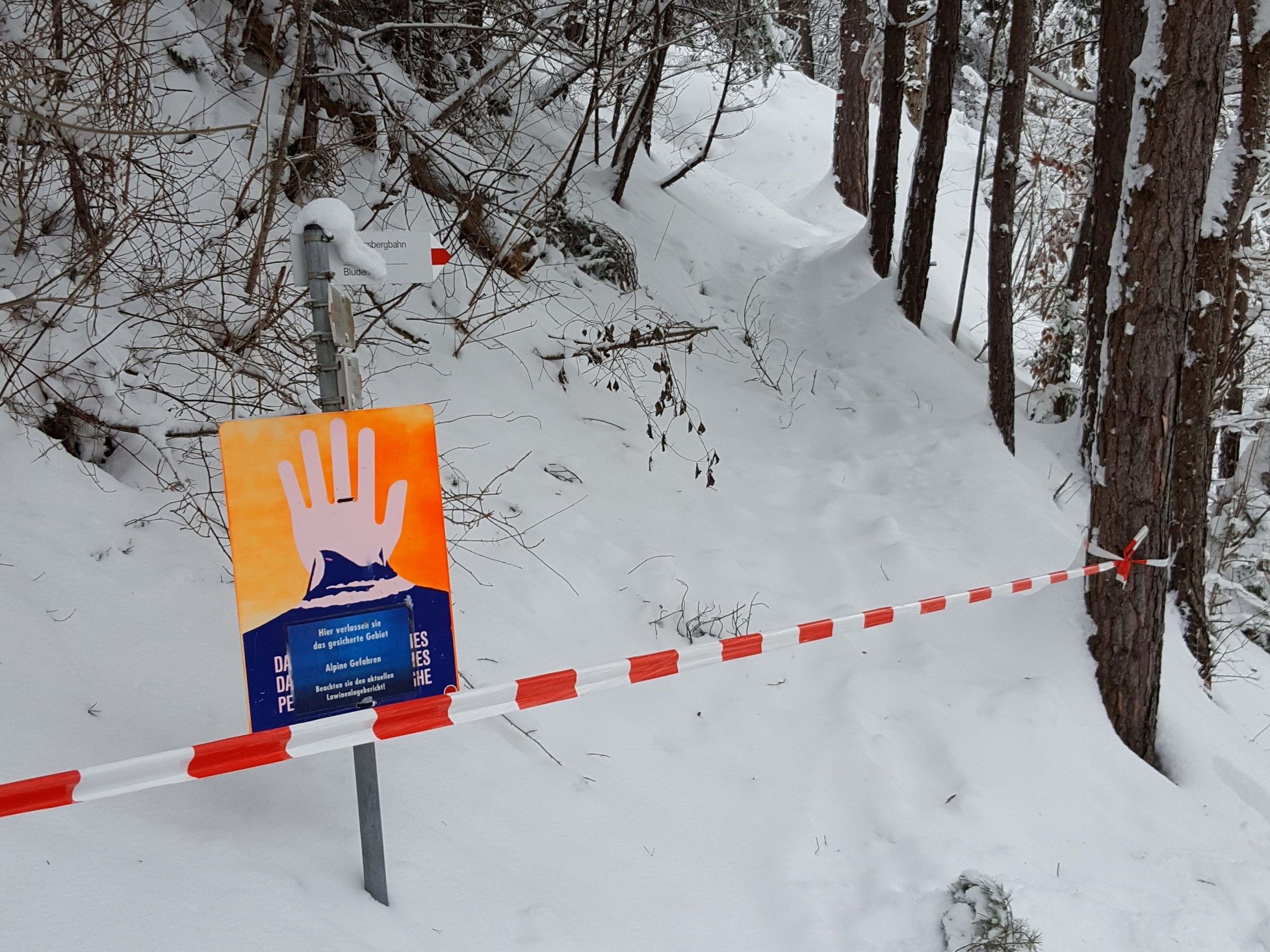 Waldwege in Nüziders wegen Verletzungsgefahr gesperrt