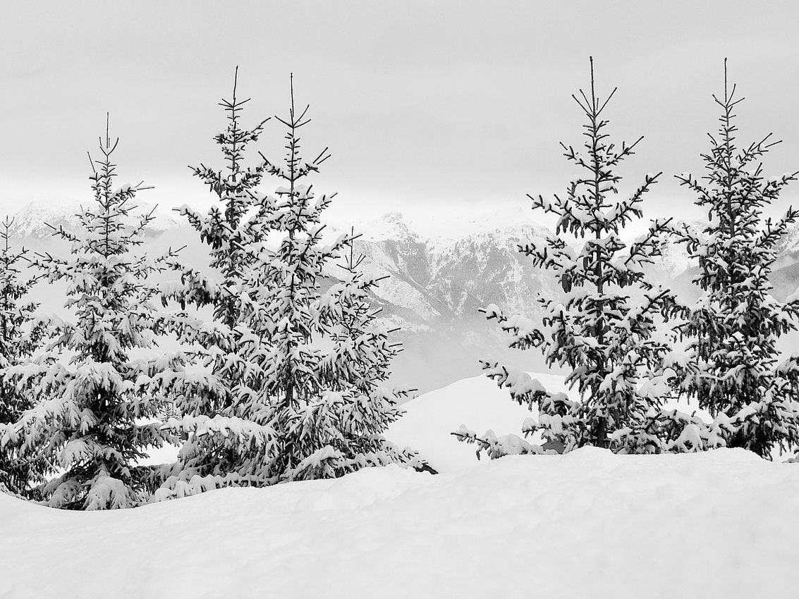 Das Skigebiet lackenhof am Ötscher wurde am Mittwoch geschlossen.