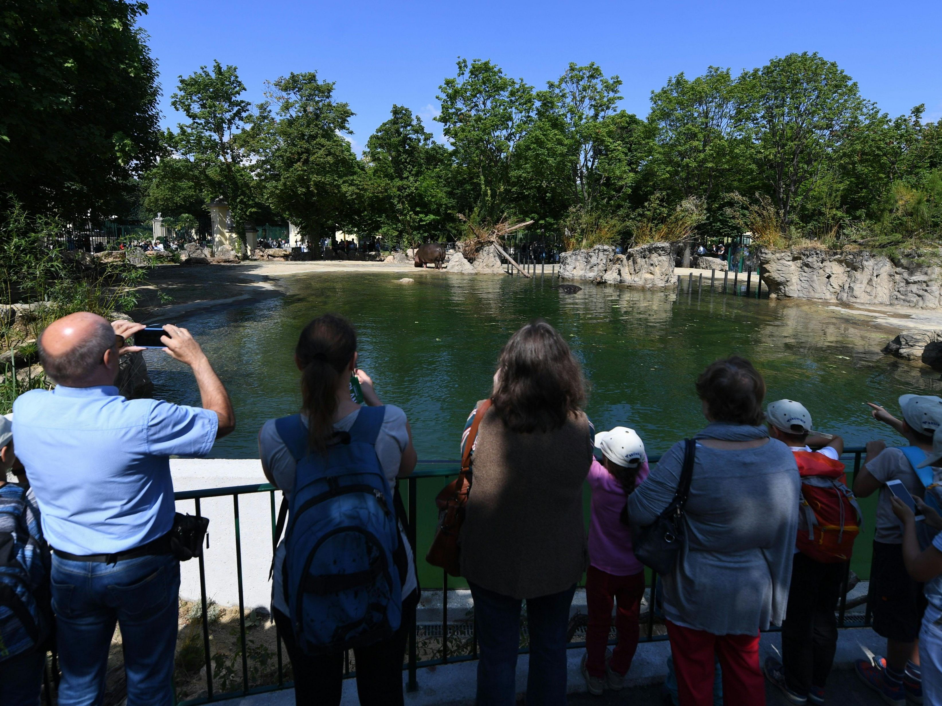 Mehr als 2 Millionen Besucher lockte der Zoo schönbrunn im letzten Jahr an.