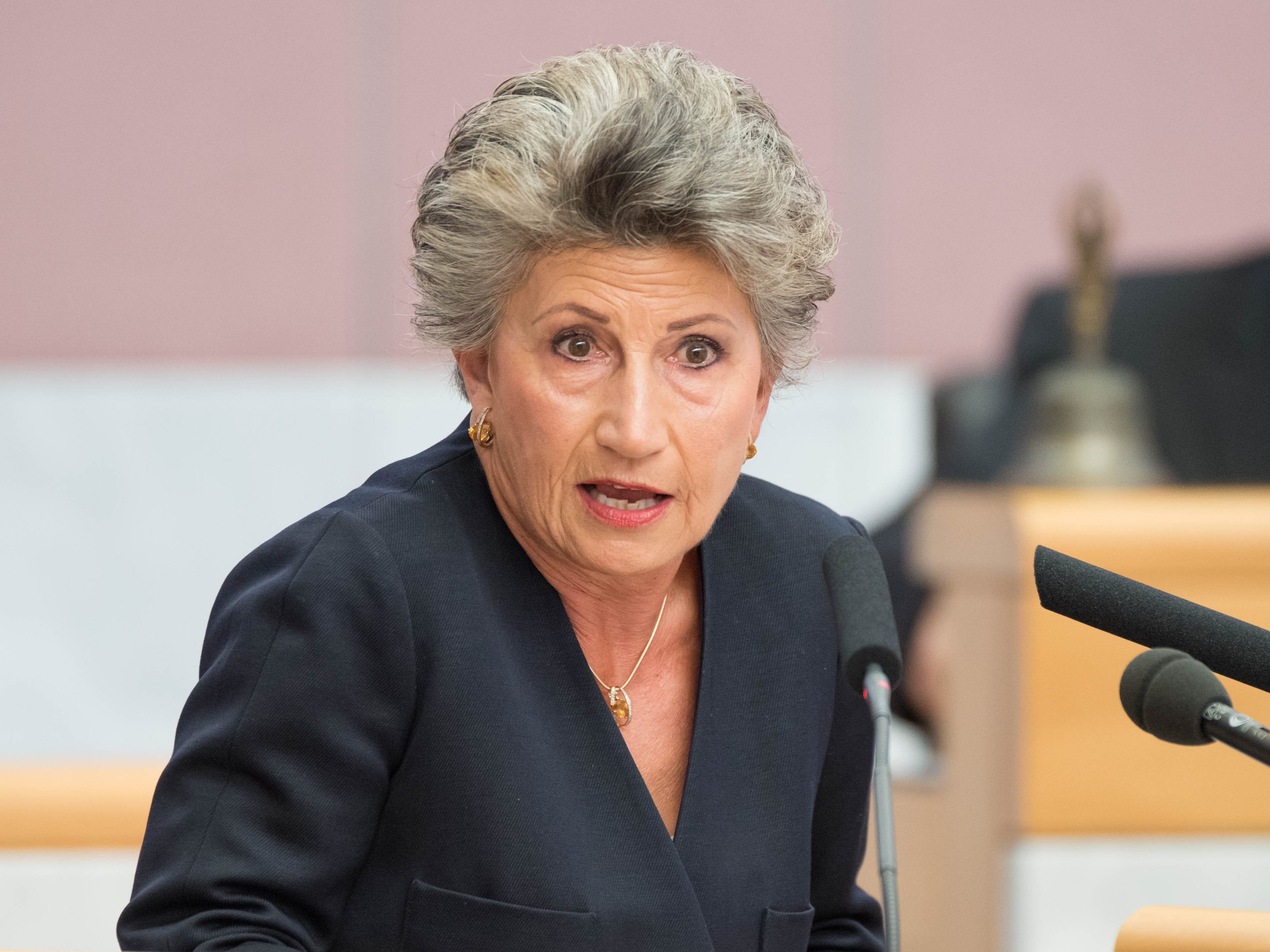 FPÖ-Sozialsprecherin Cornelia Michalke FPÖ-Sozialsprecherin Cornelia Michalke
