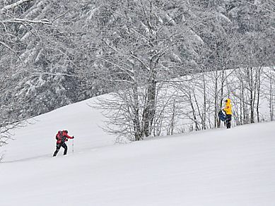 Bergunfall in Oberösterreich