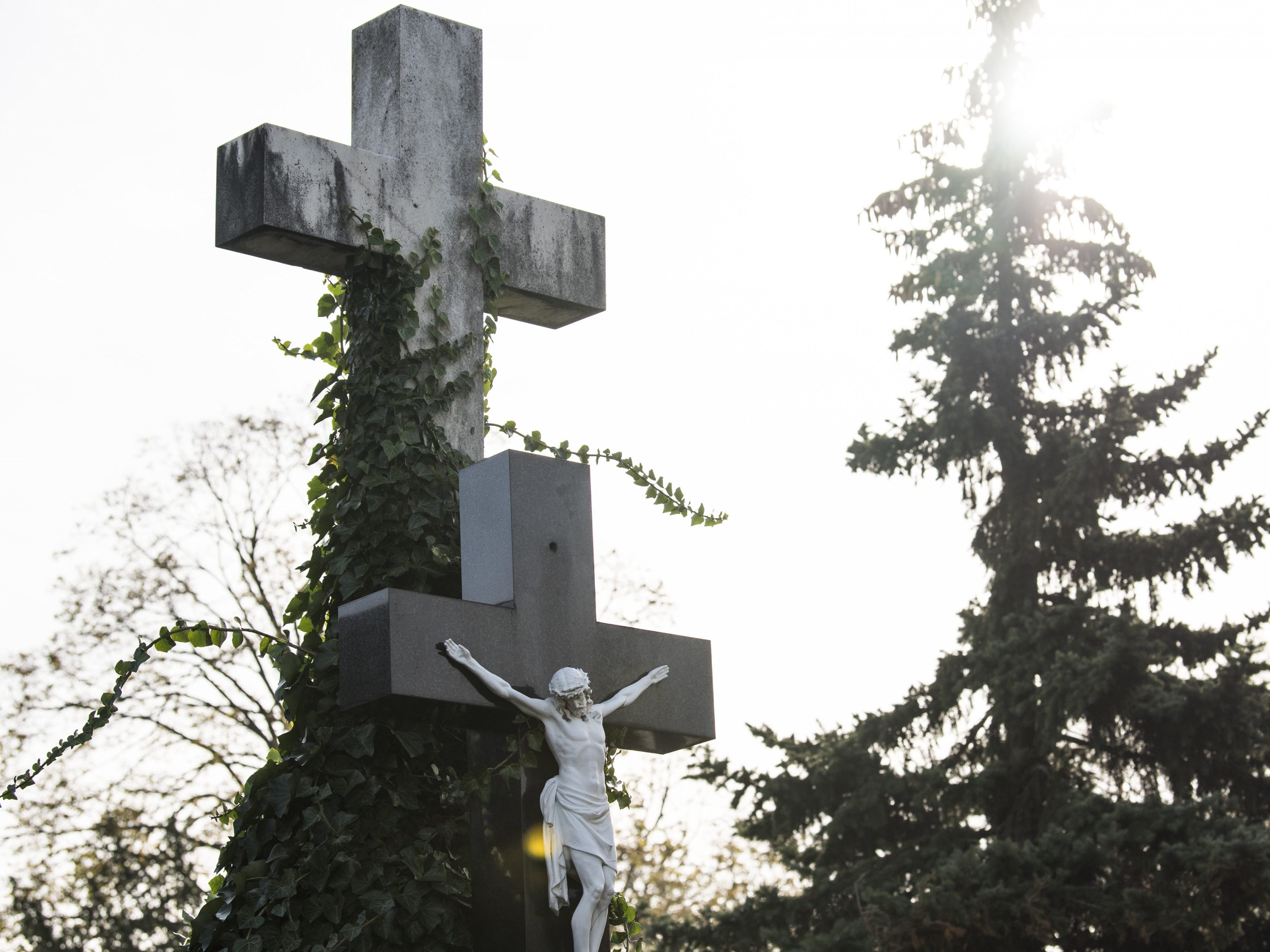 Entschädigungen in der Höhe von 27,3 Mio. Euro wurden durch die katholische Kirche anerkannt. Entschädigungen in der Höhe von 27,3 Mio. Euro wurden durch die katholische Kirche anerkannt.