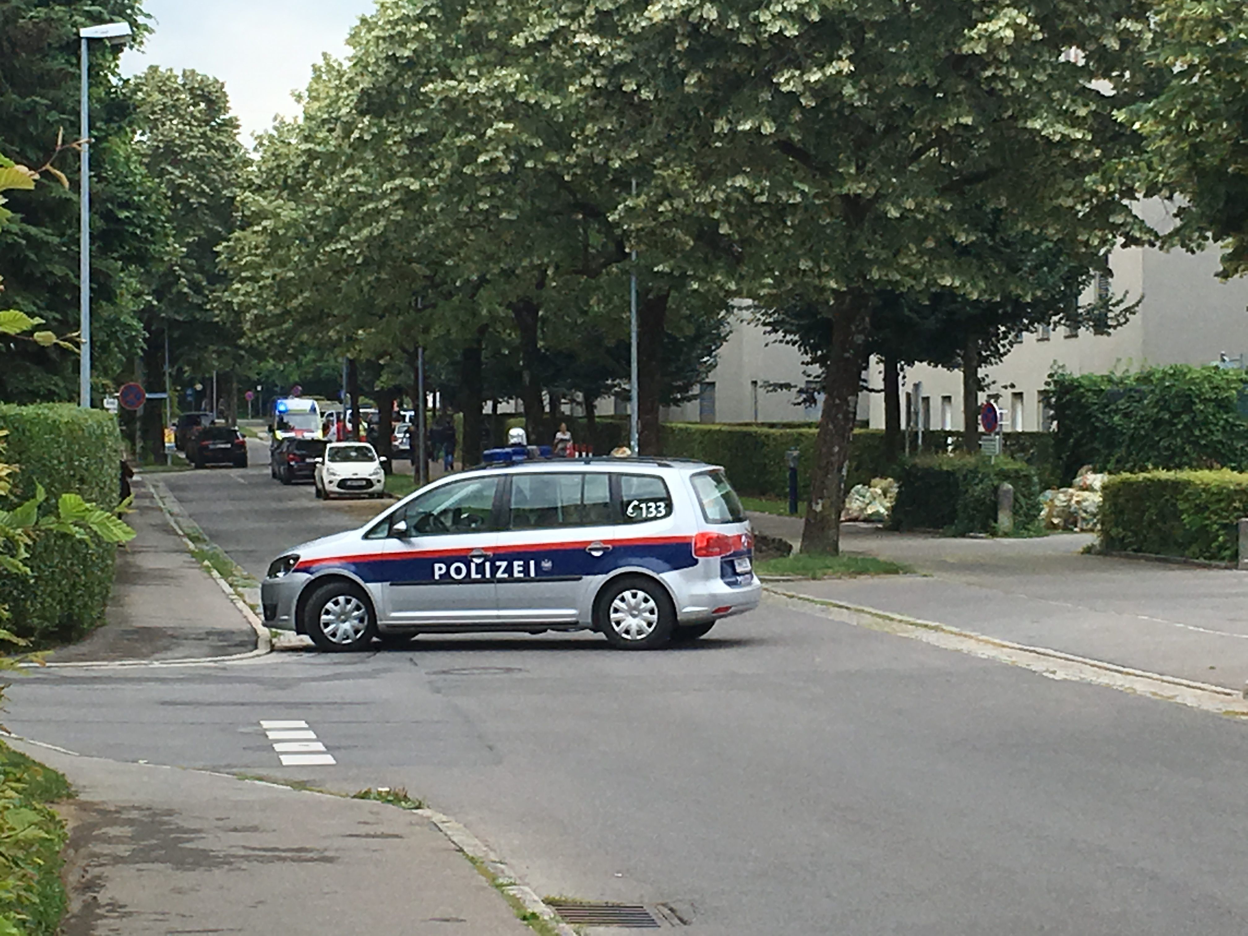 Das Verfahren wegen Mordes wurde eingestellt.