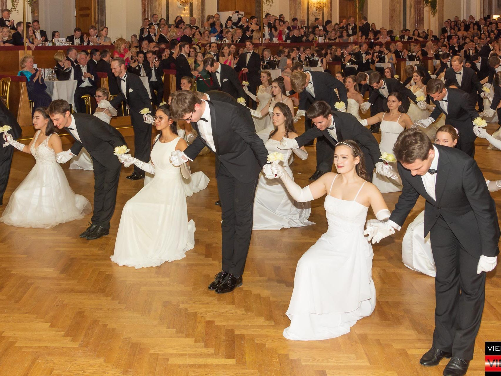 60. Ball der Wiener Wirtschaft - Wiener Hofburg - 16.02.2019 Teil 1/2