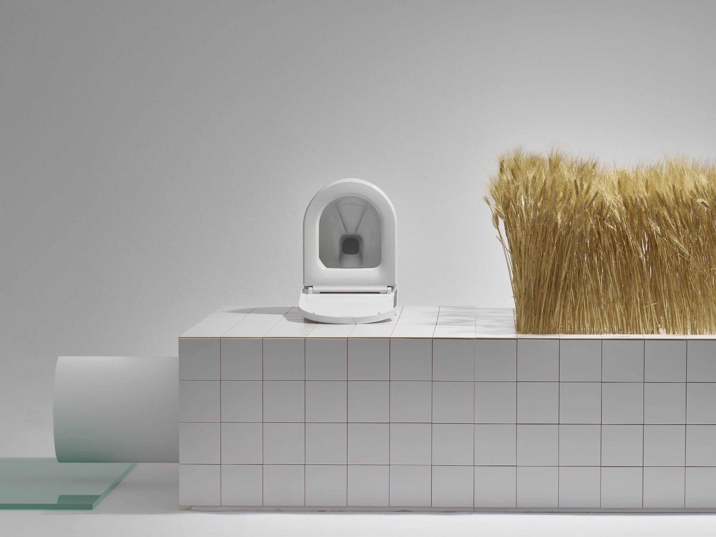 Für Österreich geht bei der XXII. Triennale di Milano eine Toilette ins Rennen.