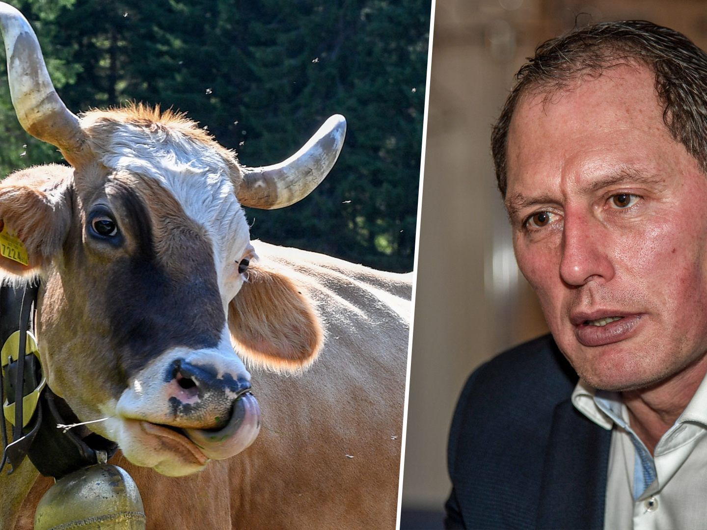 Josef Moosbrugger fordert eine Klärung der Haftungsfrage. Josef Moosbrugger fordert eine Klärung der Haftungsfrage.