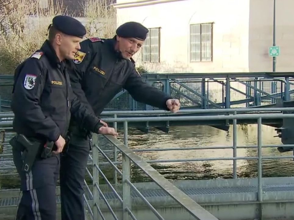 Polizeibeamte retten einen mutmaßlichen Einbrecher, der auf der Flucht in des Steyr-Fluss stürzte.