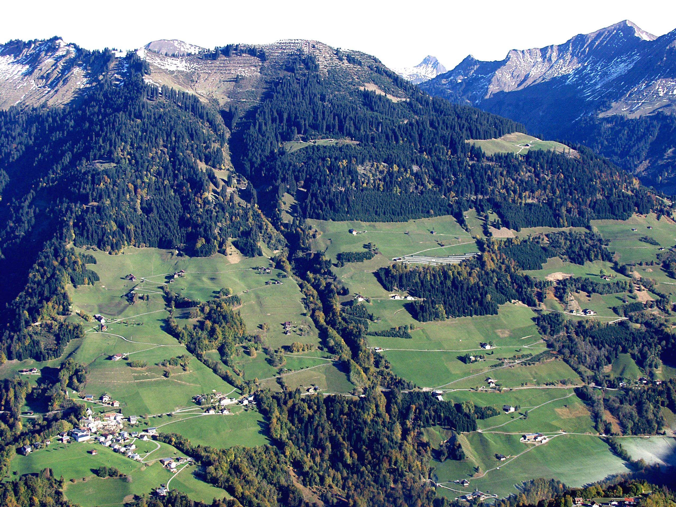 Der Schutzwald in Blons ist ausgezeichnet.